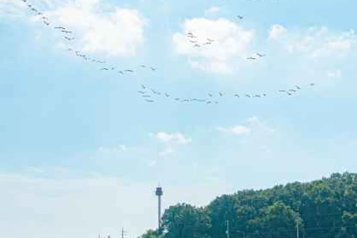 인천 트레킹 (출처 : 한국관광공사)