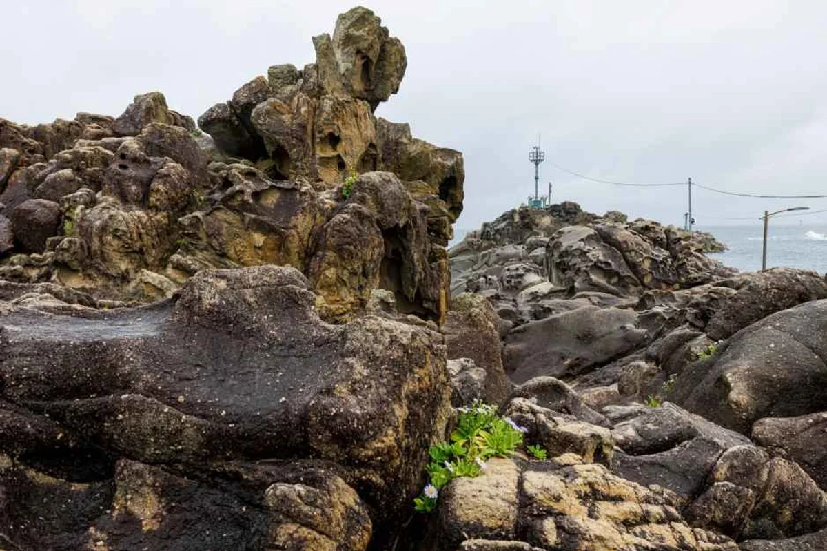 송지호관망타워 - 고성군 여행