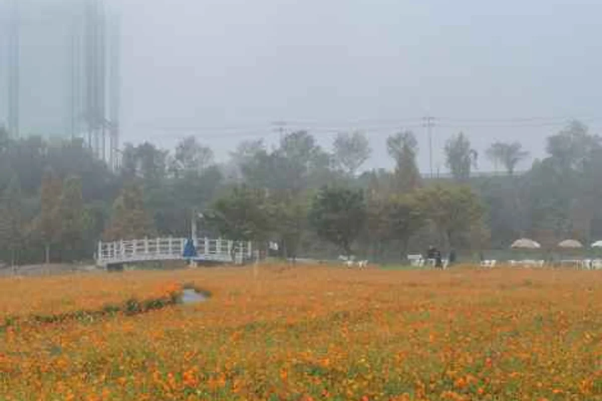 대장경테마파크 - 합천군 여행