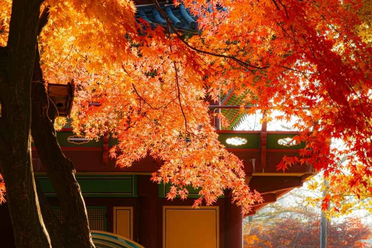 힐링별밤수목원캠핑장 - 남양주 여행
