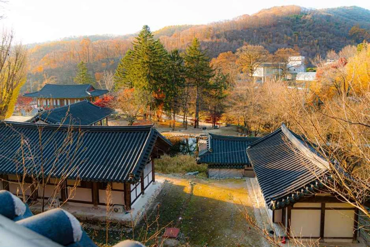 두리랜드 - 양주 여행