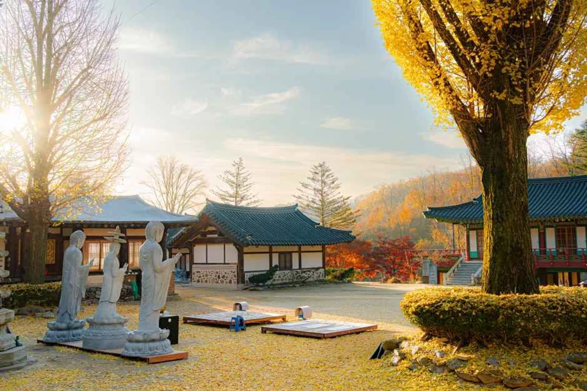해자연캠핑장 - 남양주 여행