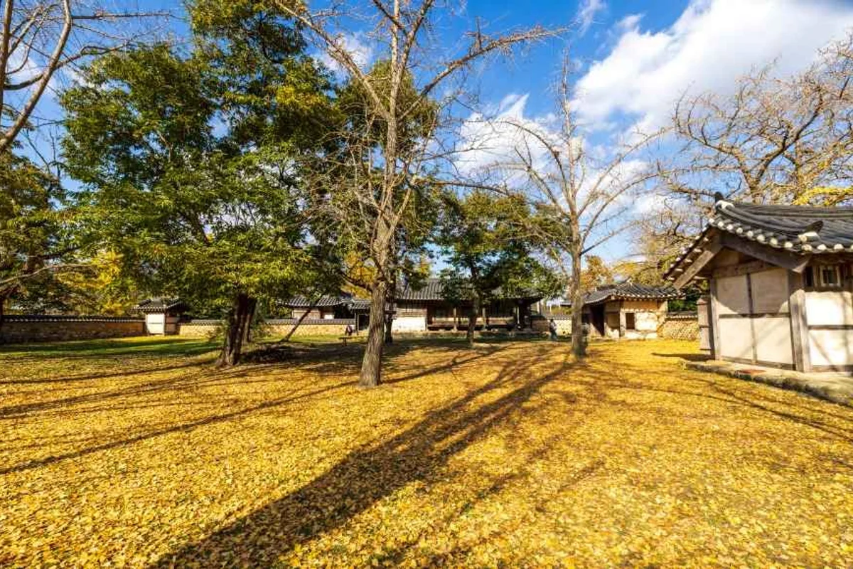 무창포해수욕장 - 보령여행 여행