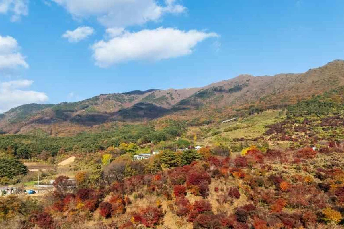 개화예술공원 - 보령여행 여행