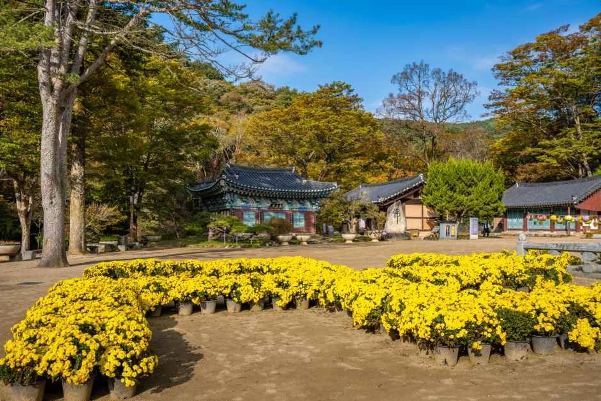 공주무령왕릉과왕릉원 - 공주여행 여행