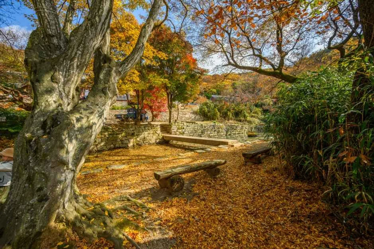 서산나이스파크골프장 - 서산골프 여행