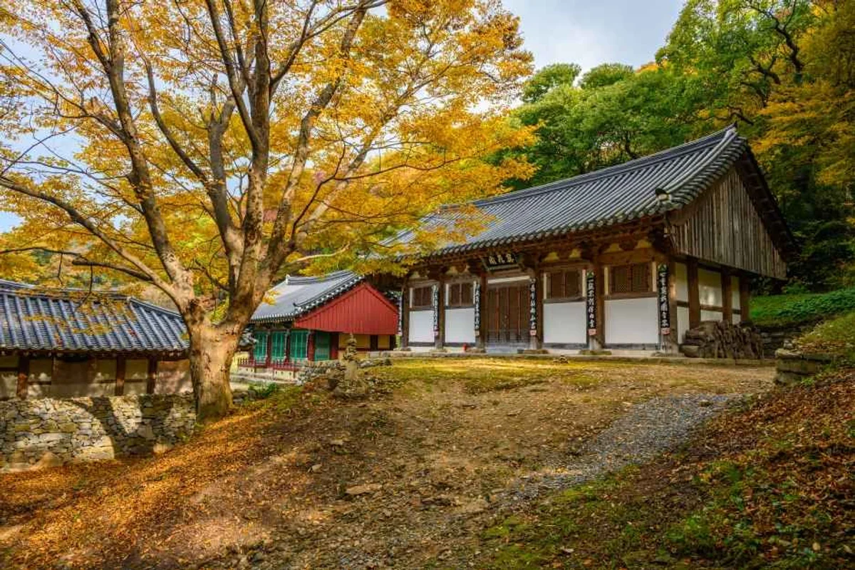 중앙골프클럽 - 서산골프 여행