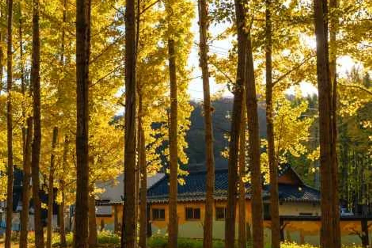 주렁주렁 동물원 경주점 - 경주 동물원 여행
