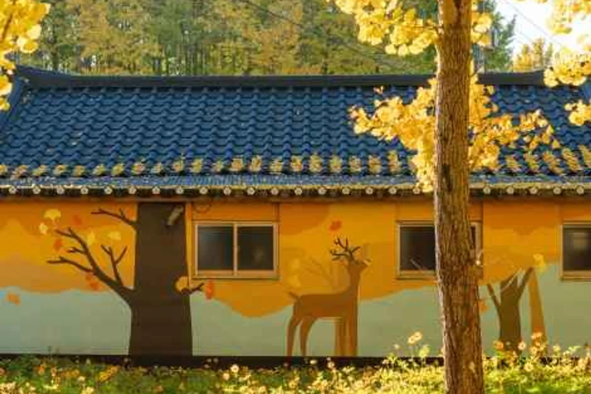 경주 MTB 힐클라임 명소 - 경주여행 여행