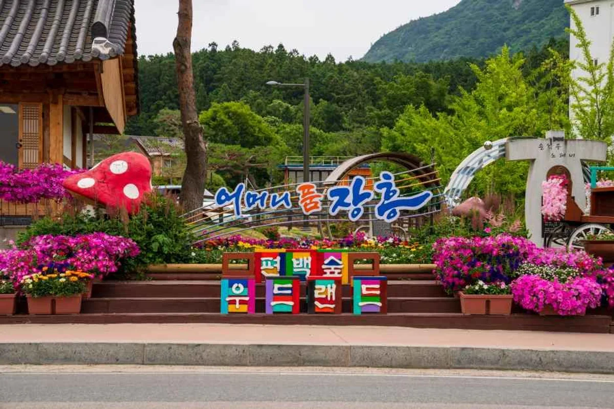 정남진 난꽃축제 - 장흥여행 여행