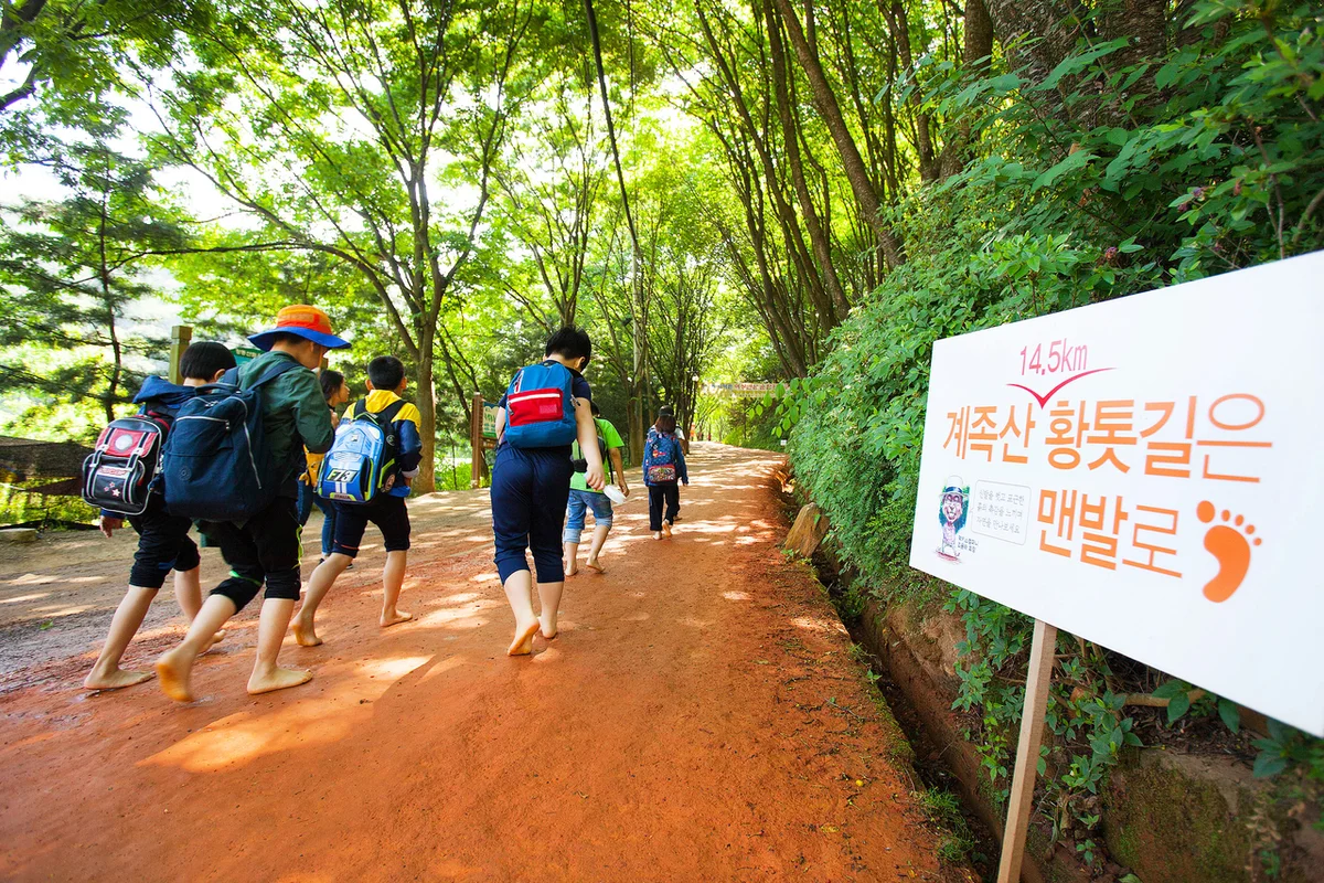 계족산성 - 계족산 여행