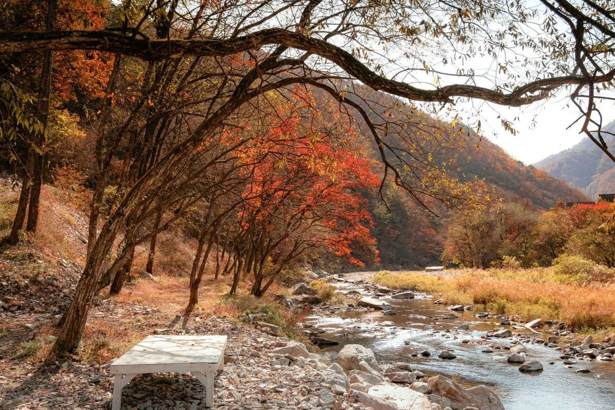 김삿갓 계곡 - 영월여행 여행